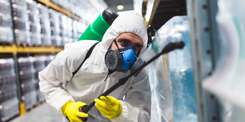 controle-de-pragas-dedetizacao